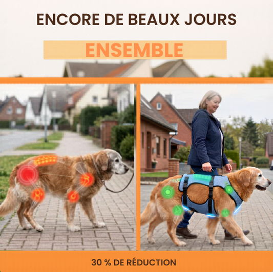 Harnais Velmora pour l'arthrose