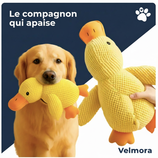 Canard Anti-Stress - Velmora