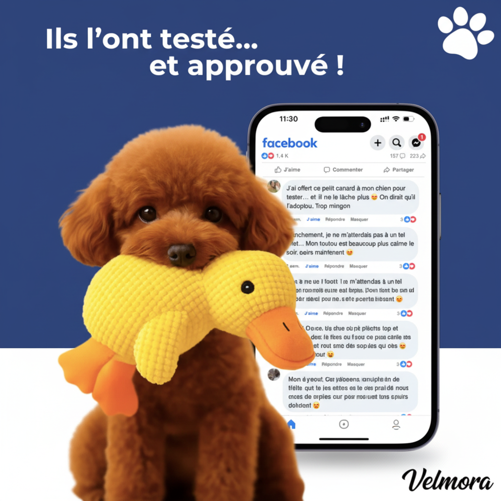 Ils l'ont testé et approuvé - Velmora